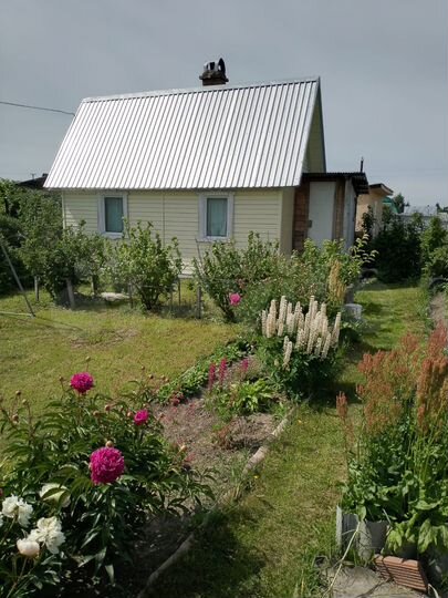 Дача 60 м² на участке 12,1 сот.