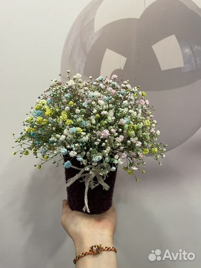 Гипсофила живые цветы подарок композиции