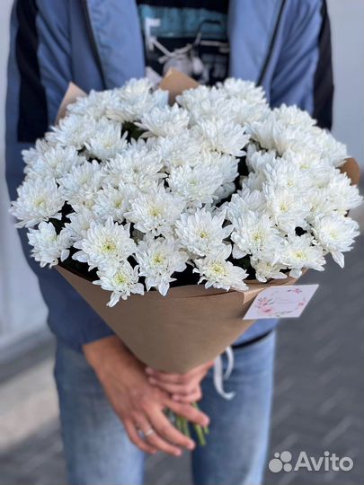 Хризантемы куст обьемный букет