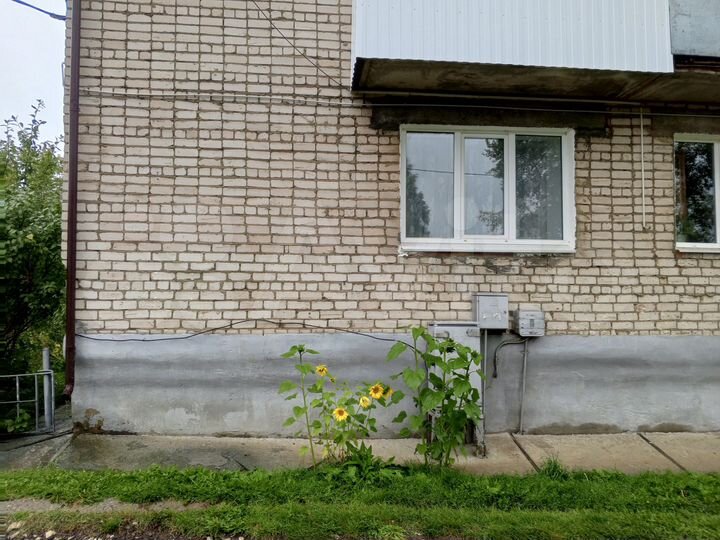 3-к. квартира, 50,8 м², 1/5 эт.