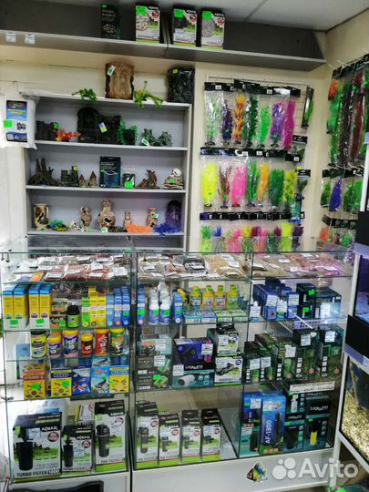 Аквариумный мир магазина Орнатус