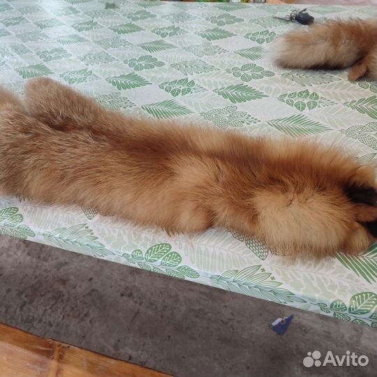 Лисья шкура