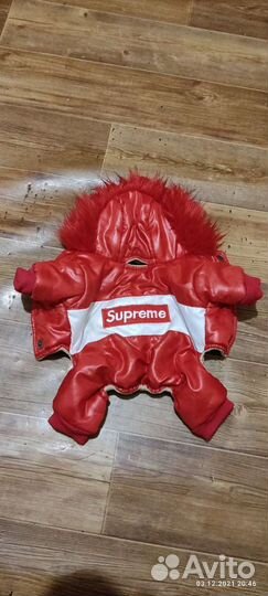 Комбинезон для маленькой собаки