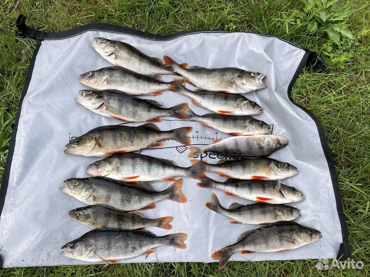 Сумка для рыбы рыбалки полностью герметична