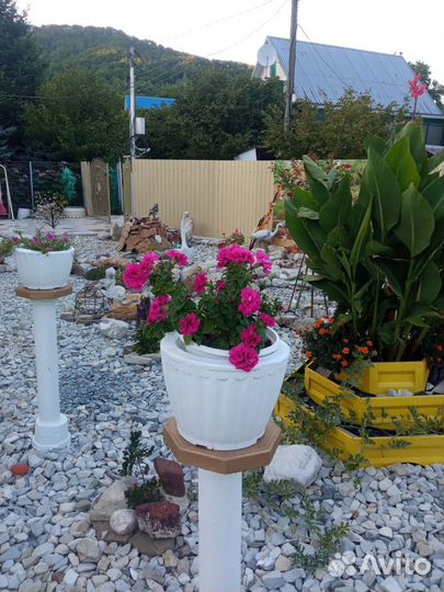 Услуги садовника, ландшафтный дизайн