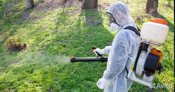 Уничтожение клещей, кротов, ос, тараканов, клопов