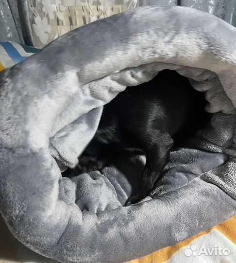 Лежанка 50х60 -Гнездо для питомцев