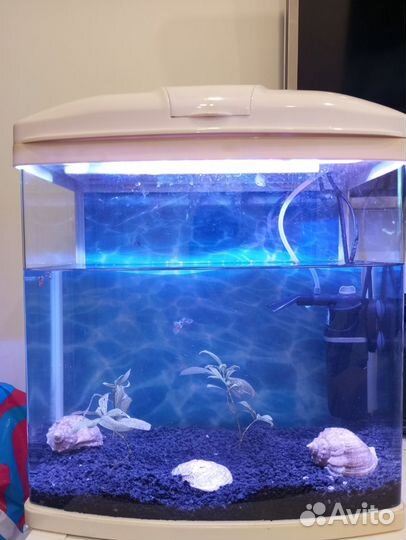 Аквариум 30 литров