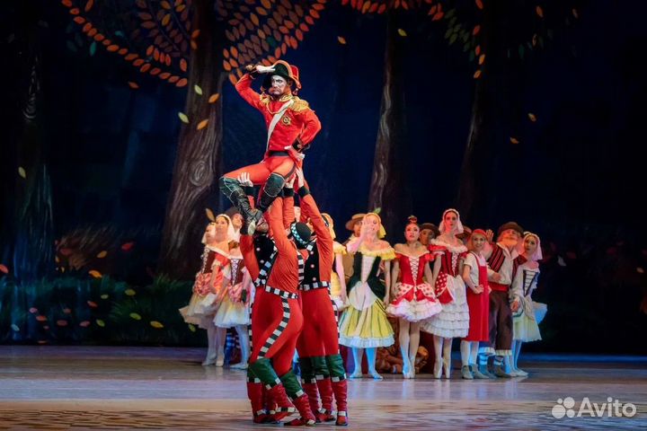 Балет Чиполлино 19.01