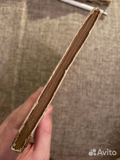 1939 Гарибальди Лурье