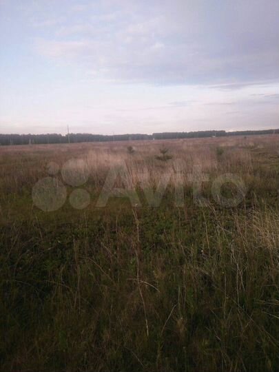 Участок 10 сот. (СНТ, ДНП)