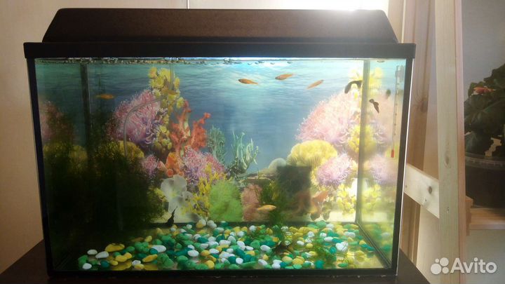 Аквариум