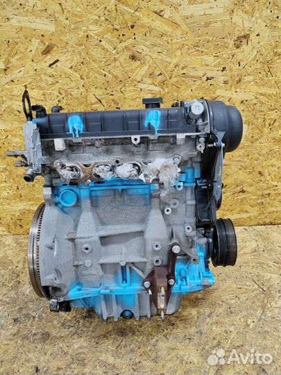 Двигатель Мотор Двс Ford Focus 2 hxda