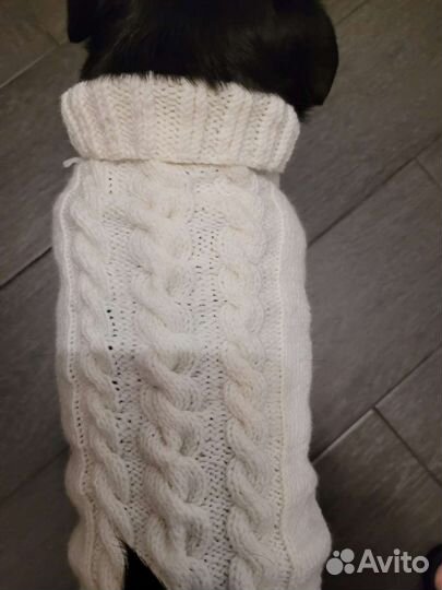Свитер для собаки