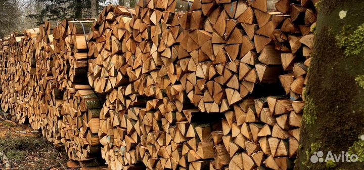 Дрова береза осина ольха