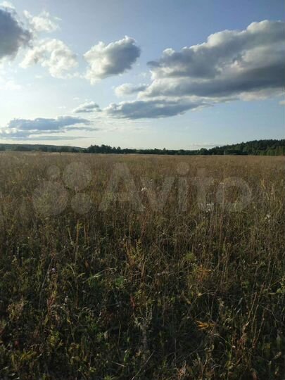 Участок 12 га (СНТ, ДНП)