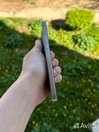 iPhone 15 Pro Max, 256 ГБ