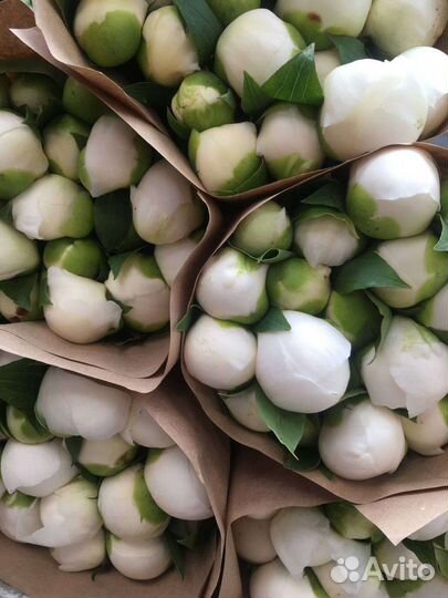 Цветы мелким оптом самозанятым и ип