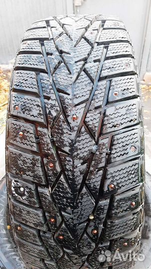 DoubleStar DW01 195/65 R15