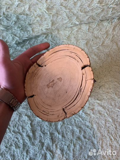 Бивень мамонта