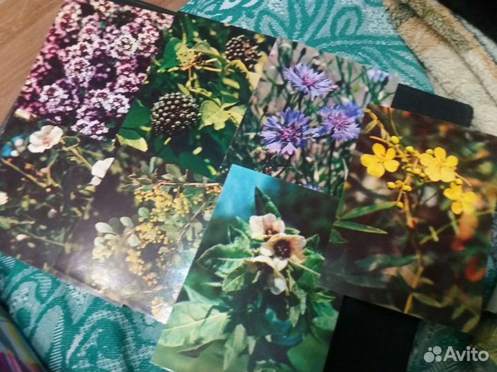 Тематические наборы открыток.винтаж