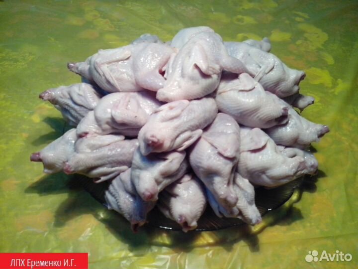 Мясо перепелов