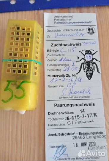 Пчелы пчелопакеты матки Бакфаст, Карника