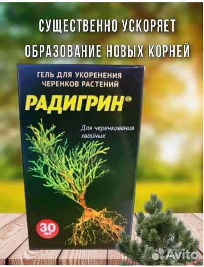 Радигрин в ассортименте