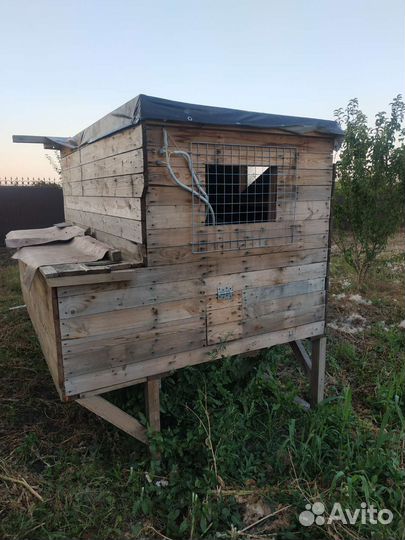 Курятник 20 кур
