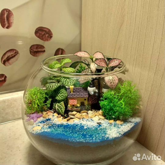 Оригинальный подарок, флорариум, ваза, цветы