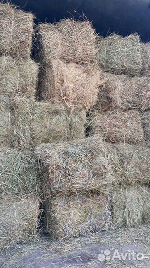 Сено в тюках