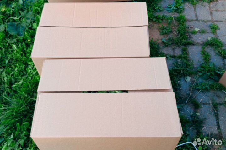 Банные березовые веники