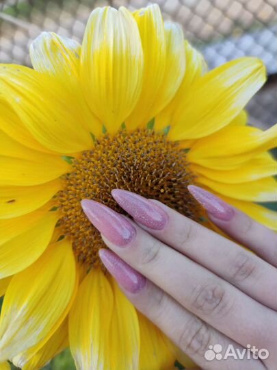 Маникюр, ламинирование,причёски