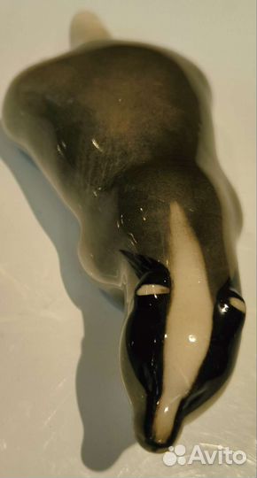 Крадущийся барсук лфз