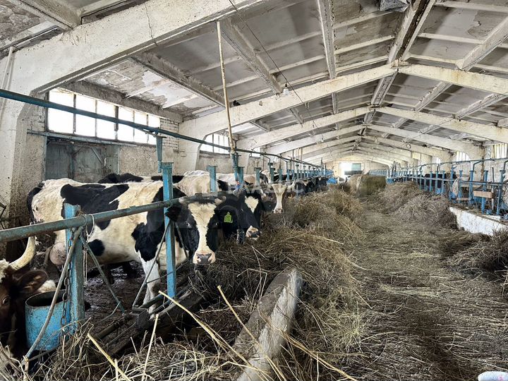 Продам помещение свободного назначения, 1500 м²