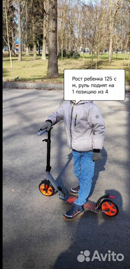 Самокат городской (Новый)