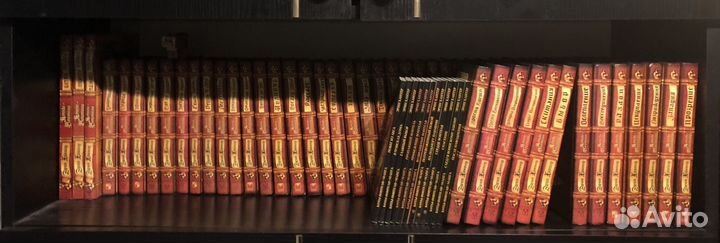 Коты воители