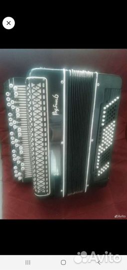 Баян рубин 6