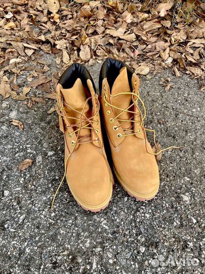 Timberland 6 inch premium оригинал