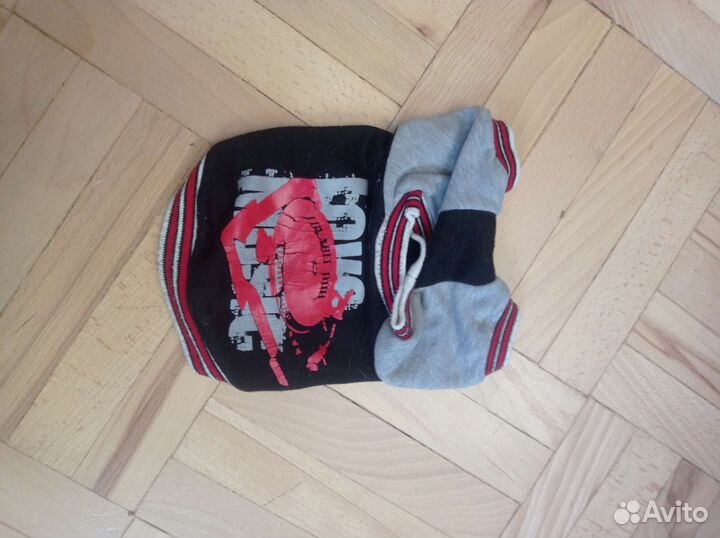 Одежда для собак