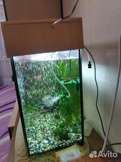 Аквариум