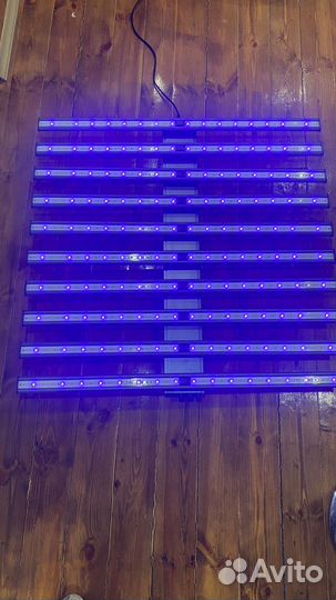 Quantum board 1000w 281b фито лампа Квантум 1000