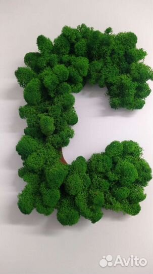 Живая картина