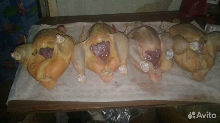 Мясо курицы домашнее