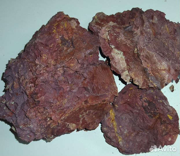 Калейдоскоп фиалка