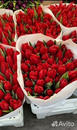 Тюльпаны к 8 марта розница