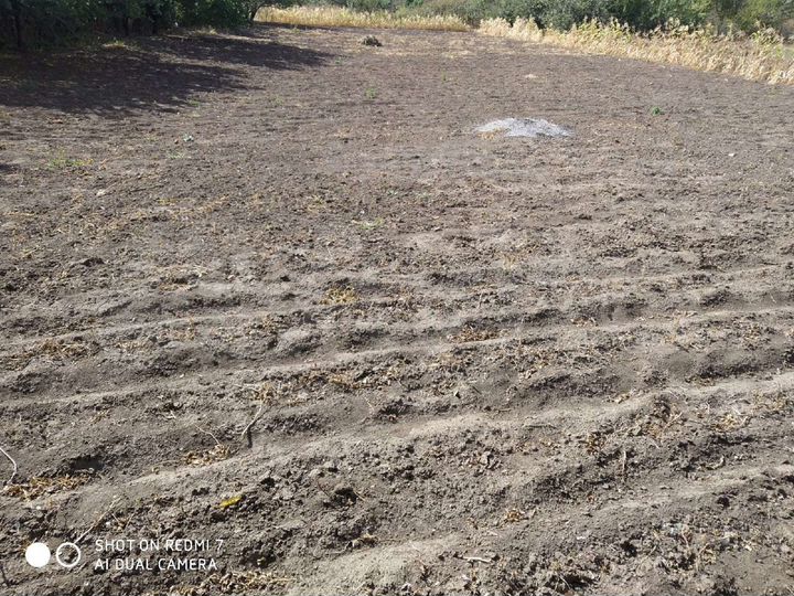 Участок 15 сот. (ИЖС)