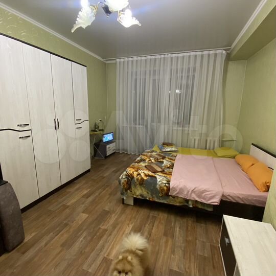 1-к. квартира, 49 м², 2/3 эт.