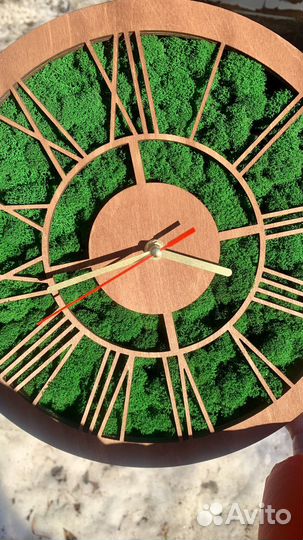 Часы со стабилизированным мхом