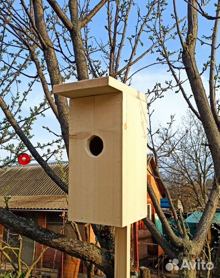 Скворечник